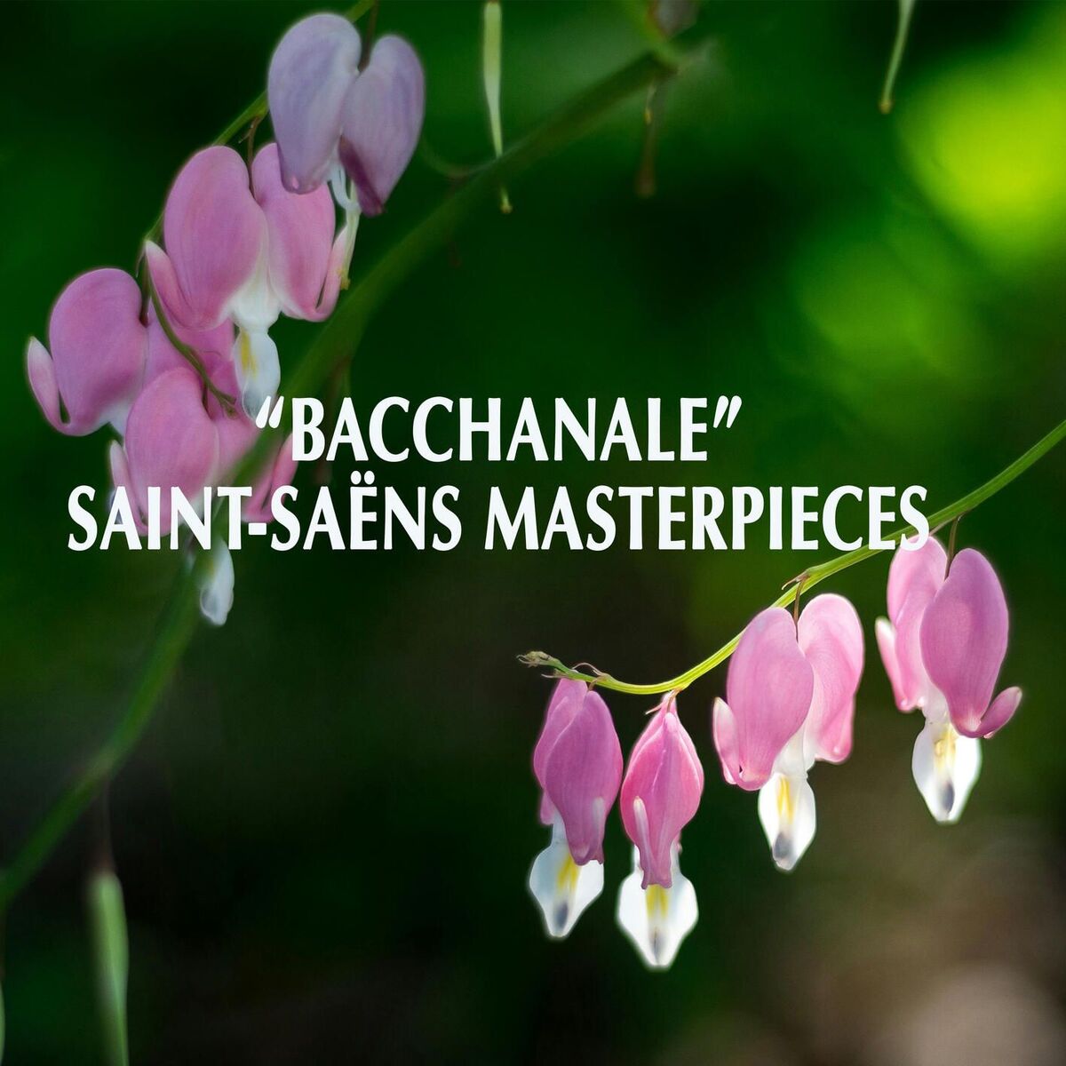 Album cover of 