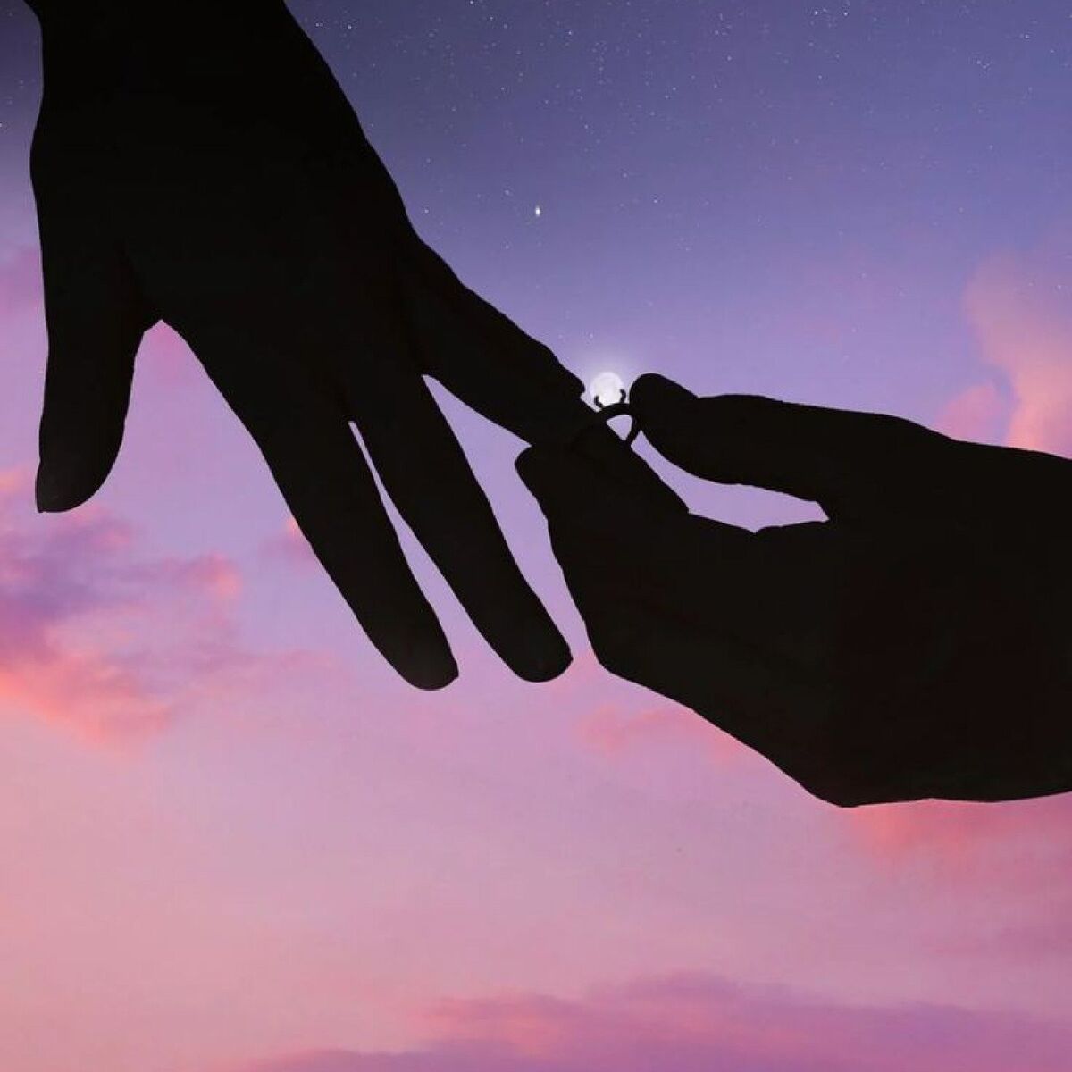 Album cover of Pour la vie