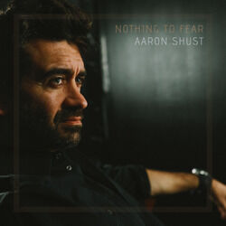 Cover of Nothing to Fear