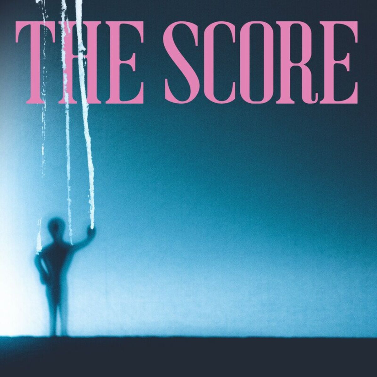Album cover of The Score