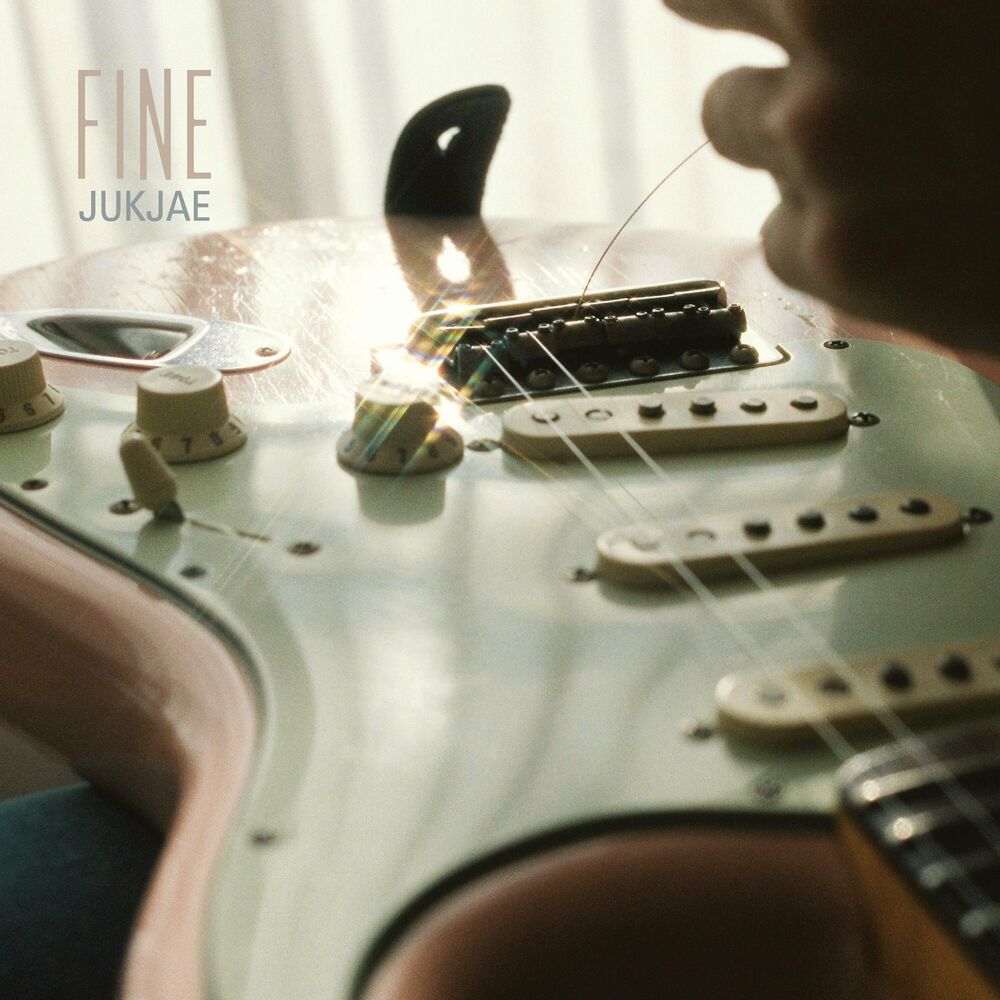 Picture of FINE