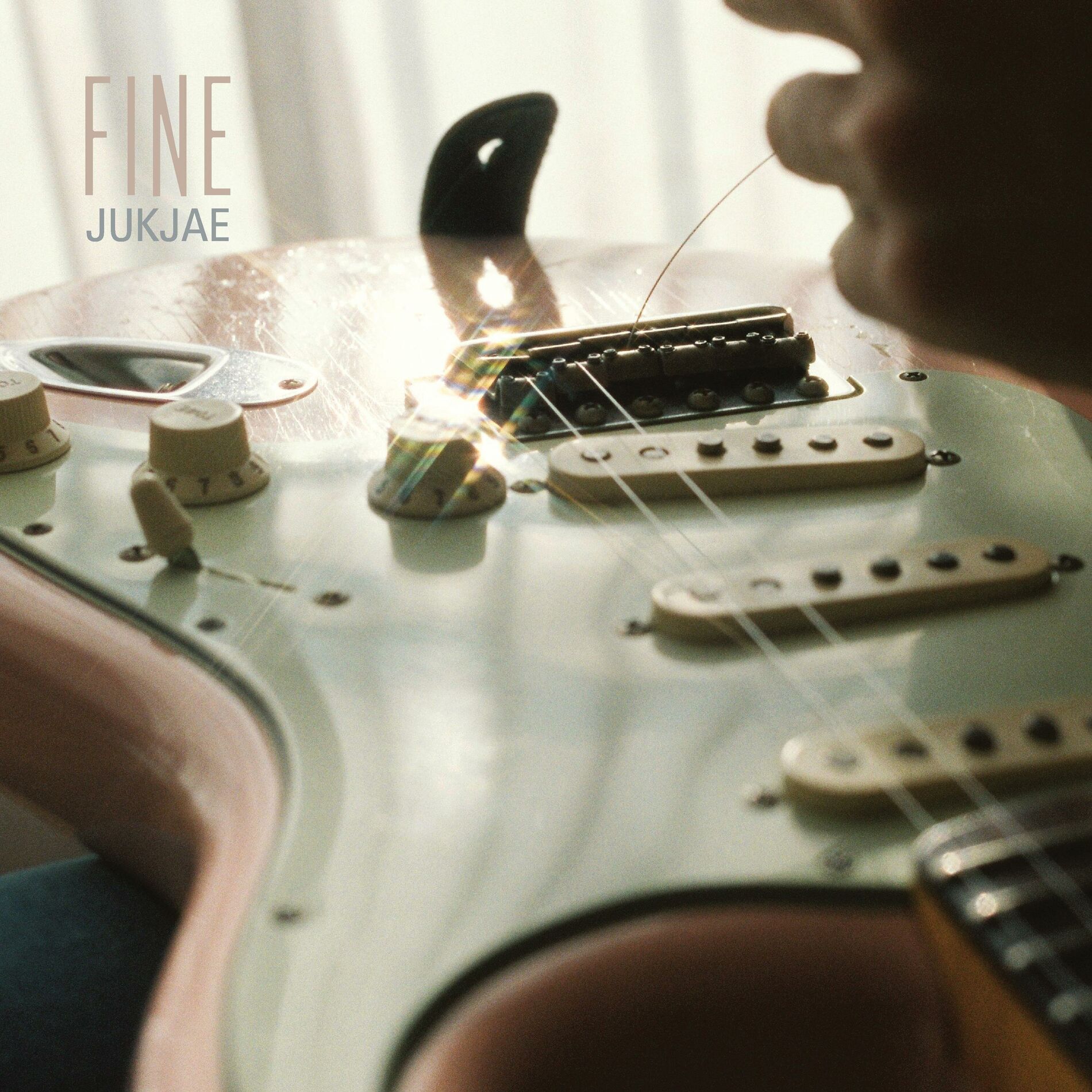 Album cover of FINE