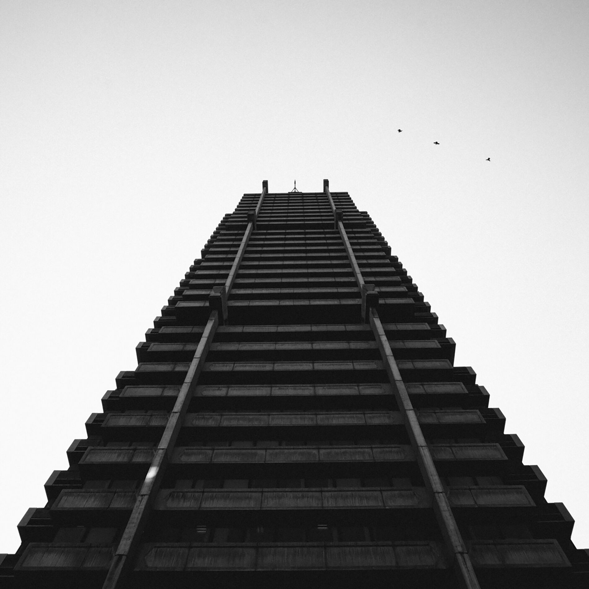 Album cover of Wheat and tares in dub (Radio Edit)