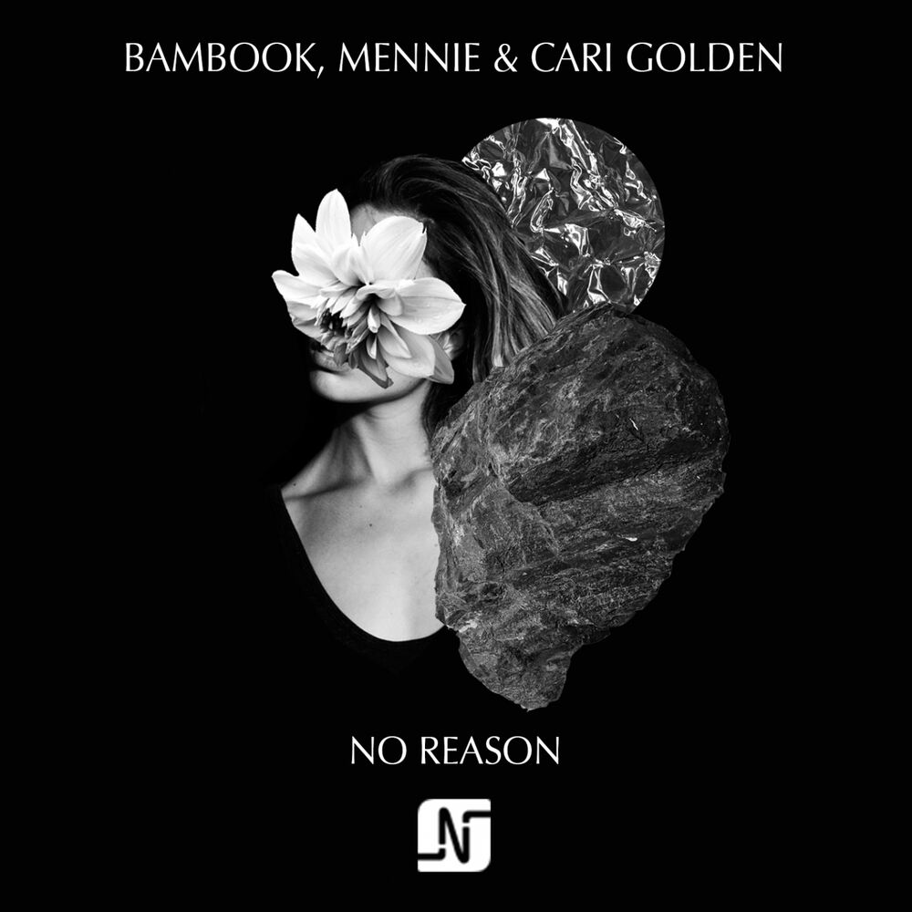 Picture of No Reason