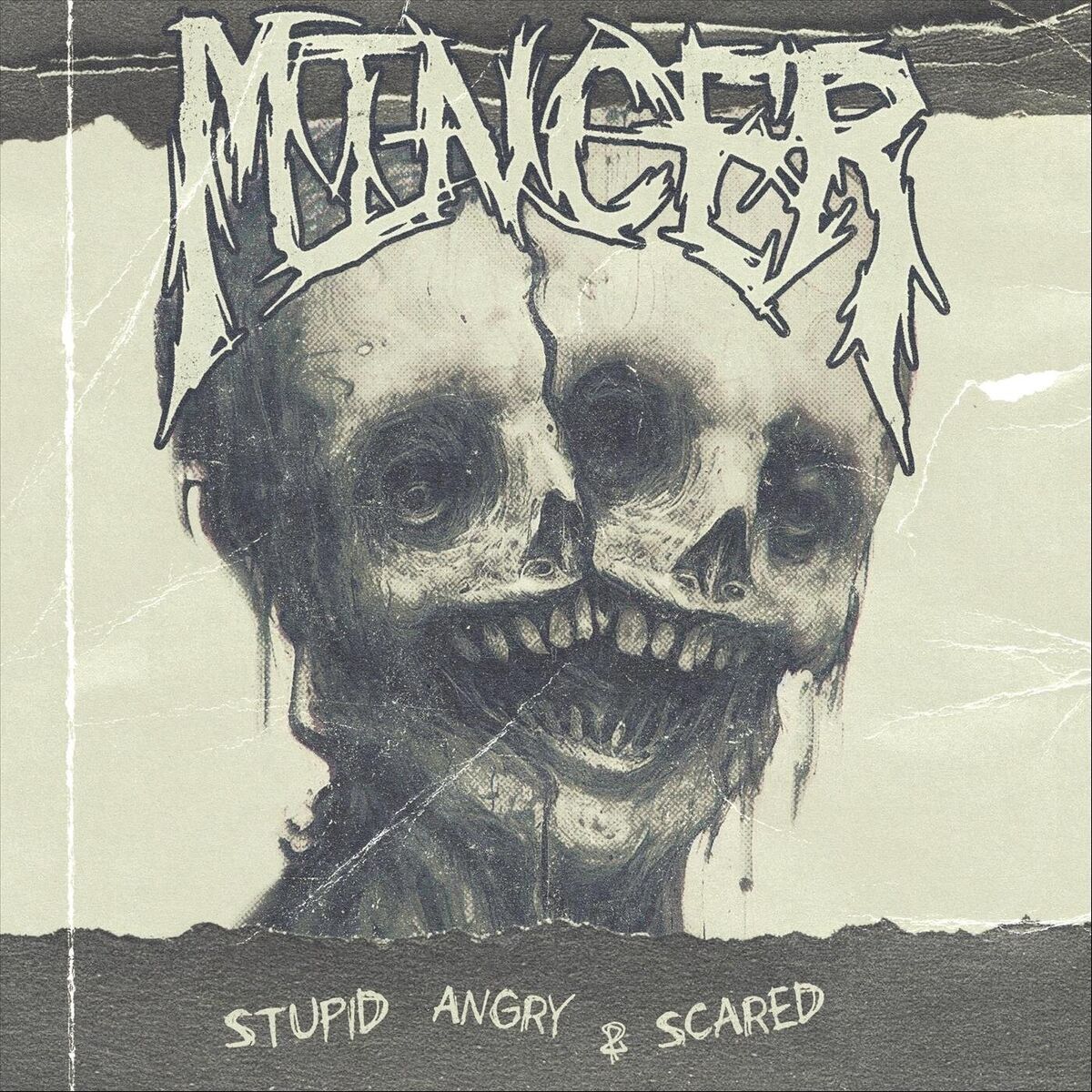 Album cover of Stupid, Angry & Scared