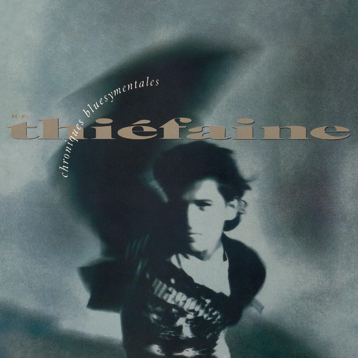 Album cover of Chroniques bluesymentales