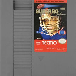 Cover of Super Tecmo Bo