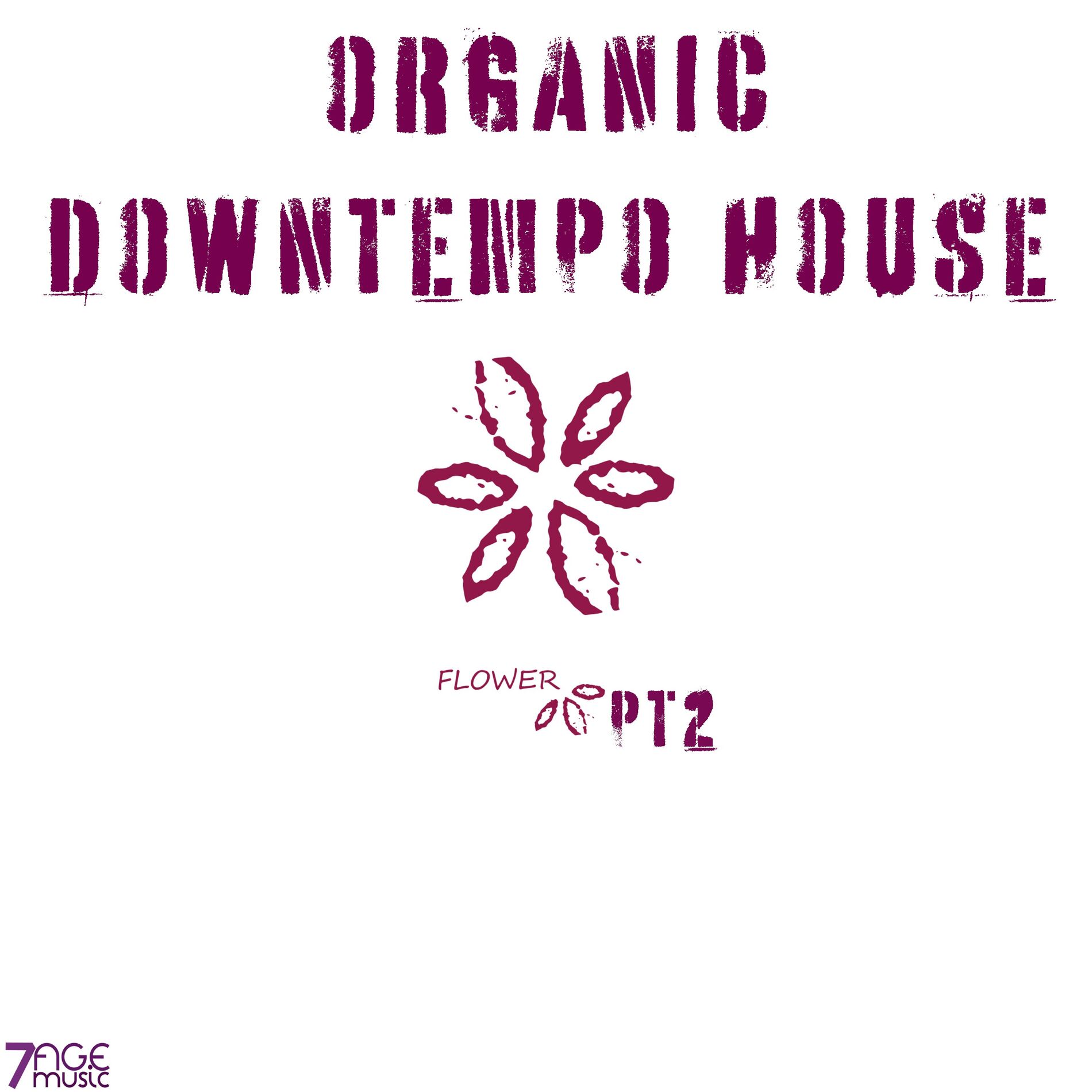 Album cover of Organic Downtempo Flower House, Pt. 2