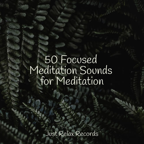50 Focused Meditation Sounds for Meditation