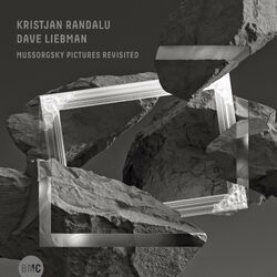 Cover of Mussorgsky Pictures Revisited