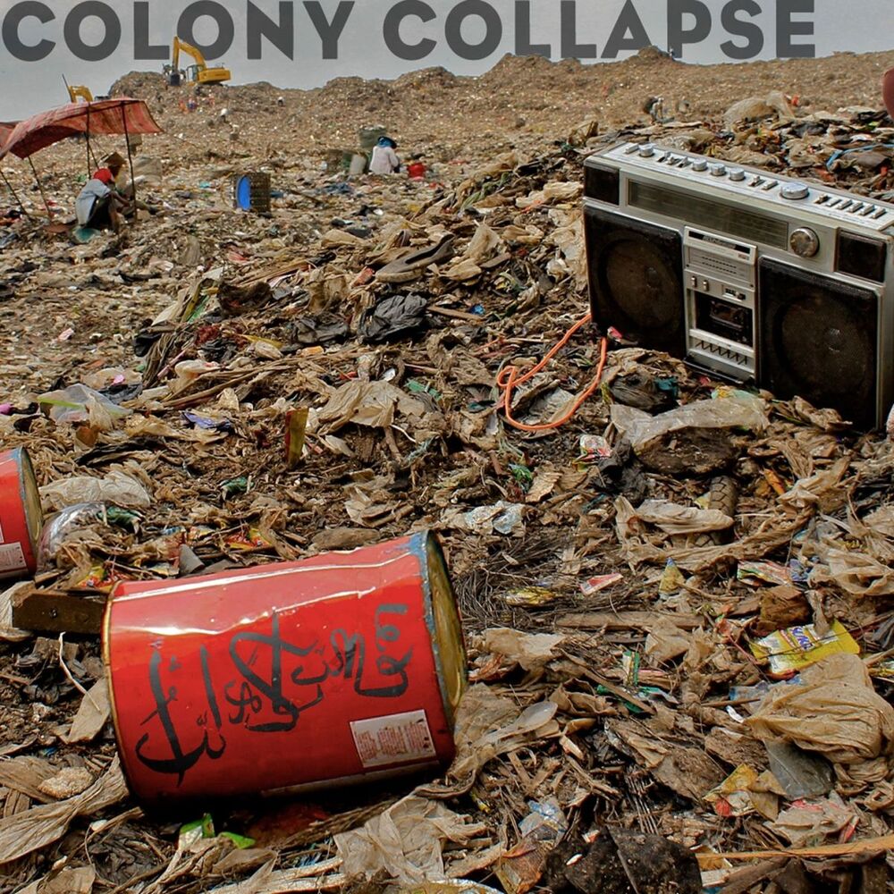 Picture of Colony Collapse (Remix)