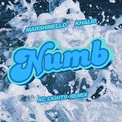 Cover of Numb (KC Lights Remix)
