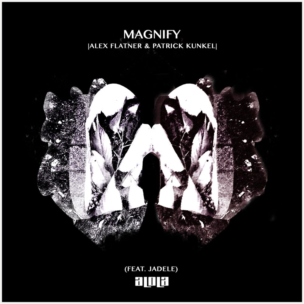 Picture of Magnify