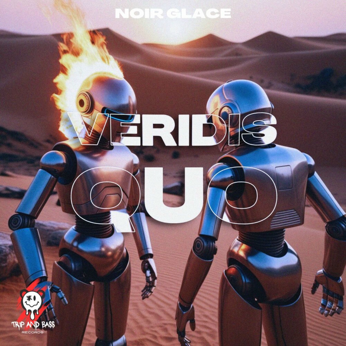 Album cover of Veridis Quo - AFRO HOUSE