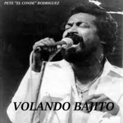Cover of Volando Bajito