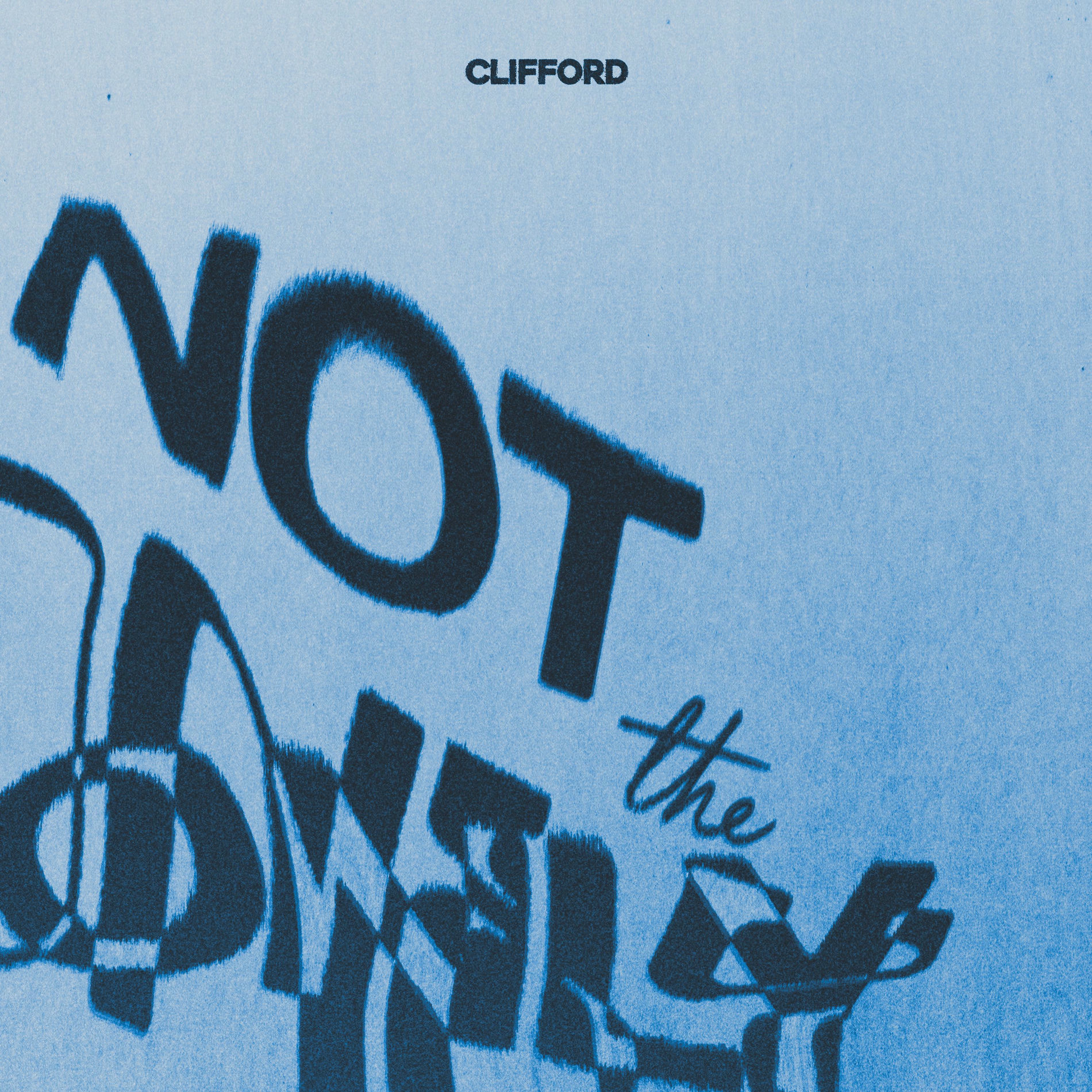 Album cover of Not The Only