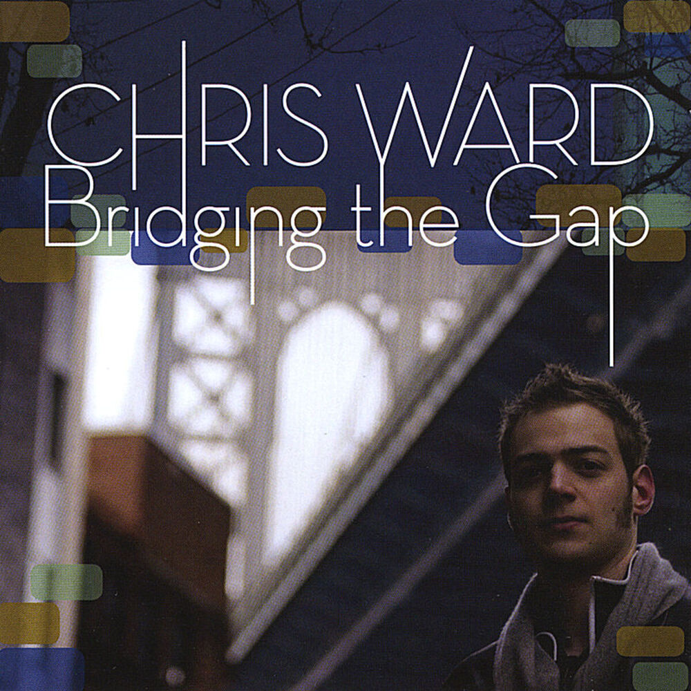Picture of Bridging the Gap