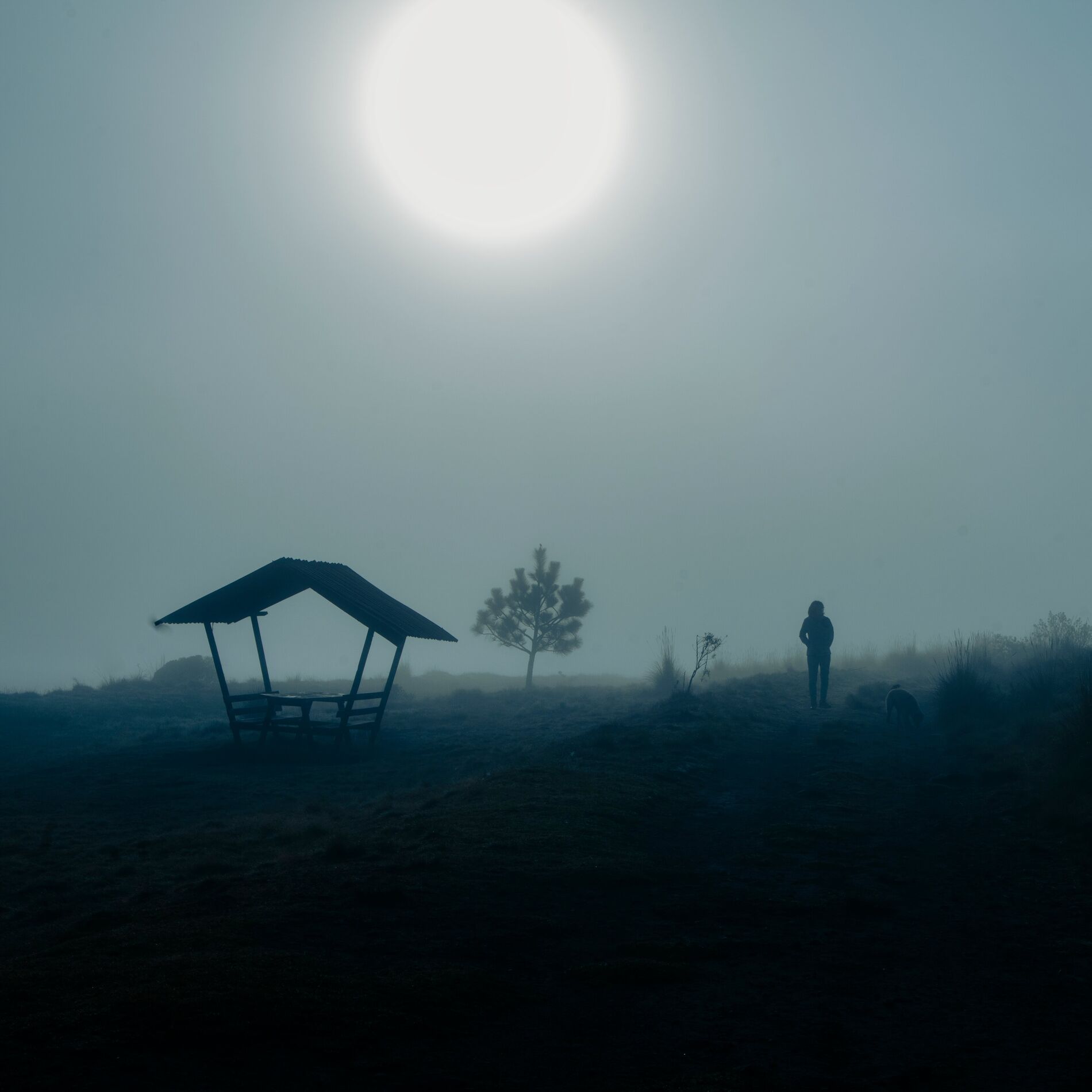 Album cover of To Break
