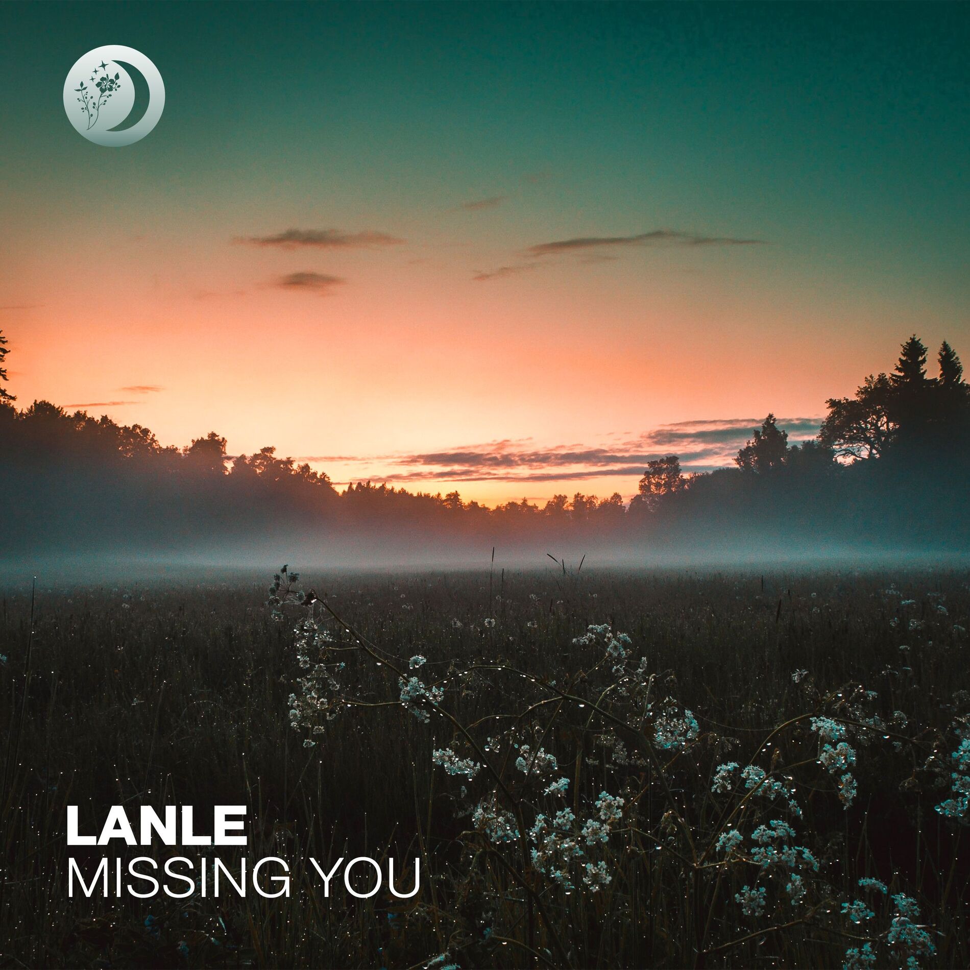 Album cover of Missing You