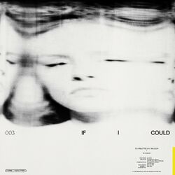 Cover of If I Could