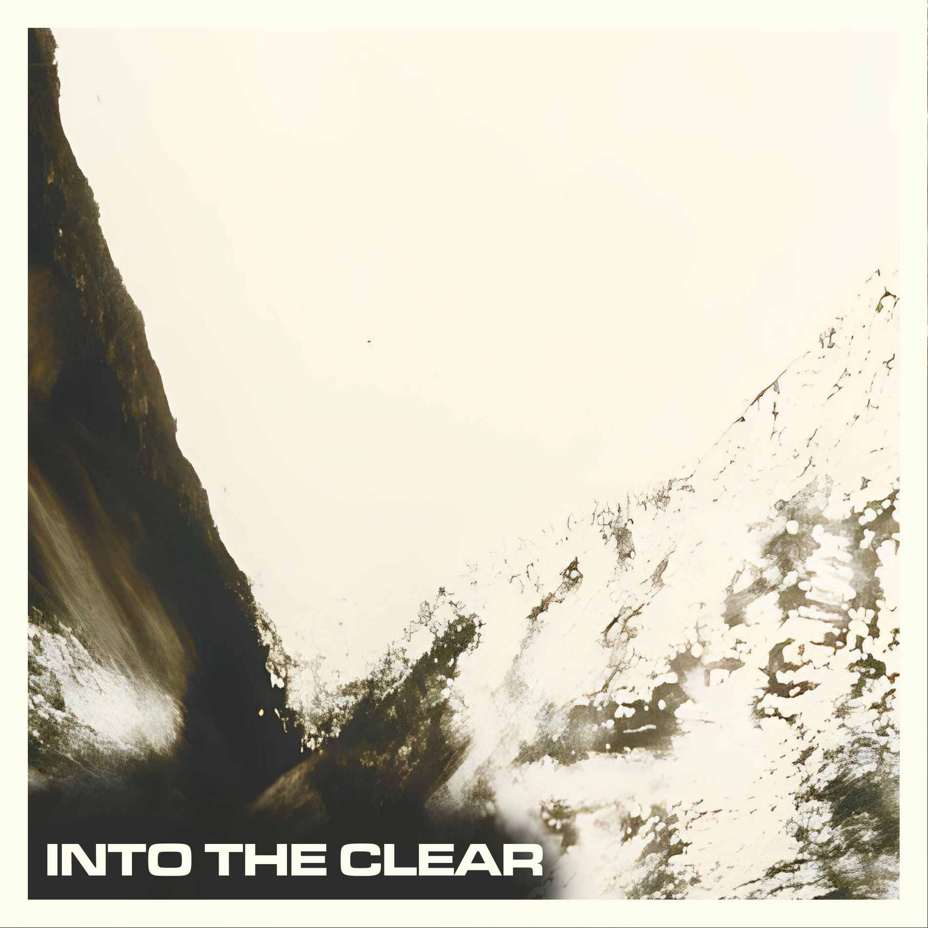 Album cover of Into The Clear