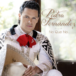 Cover of No Que No