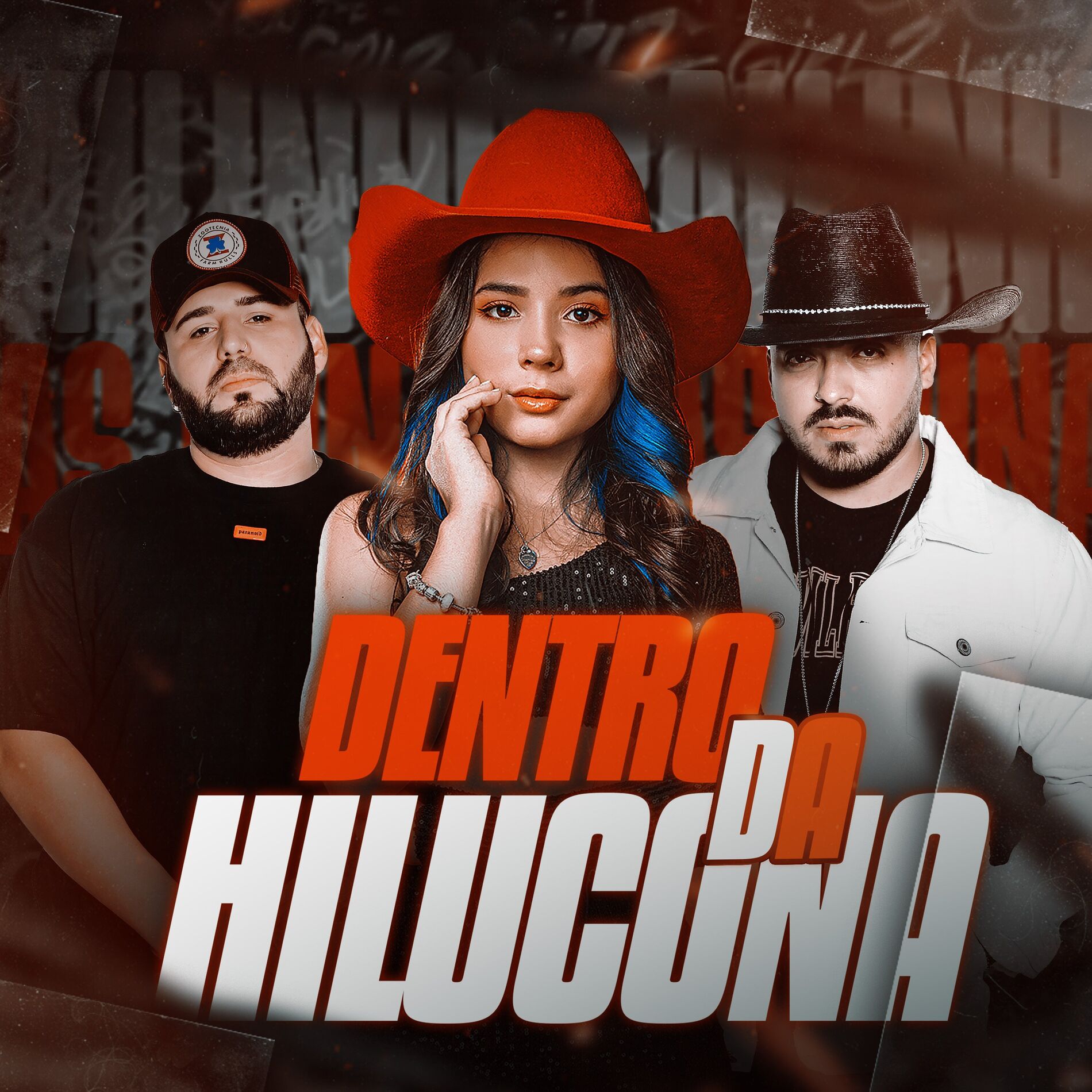 Album cover of Dentro da Hilucona
