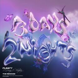 Cover of 3 Days, 2 Nights (The Remixes)