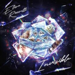 Cover of Invisible