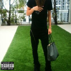 Cover of GoyardBag