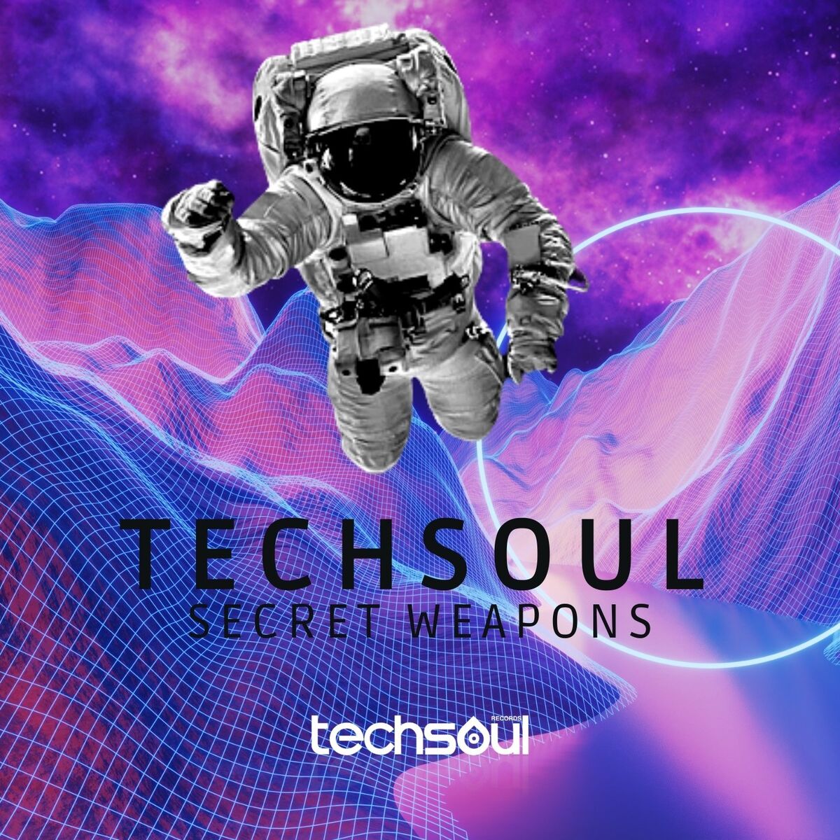 Album cover of Techsoul Secret Weapons