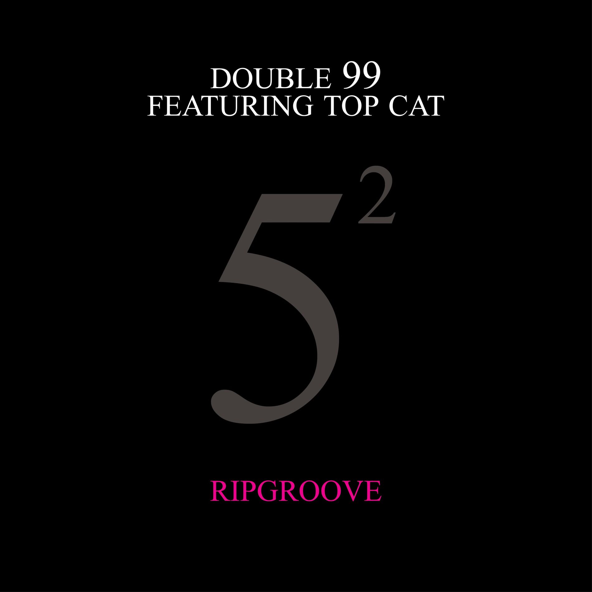 Album cover of Ripgroove (25th Anniversary)