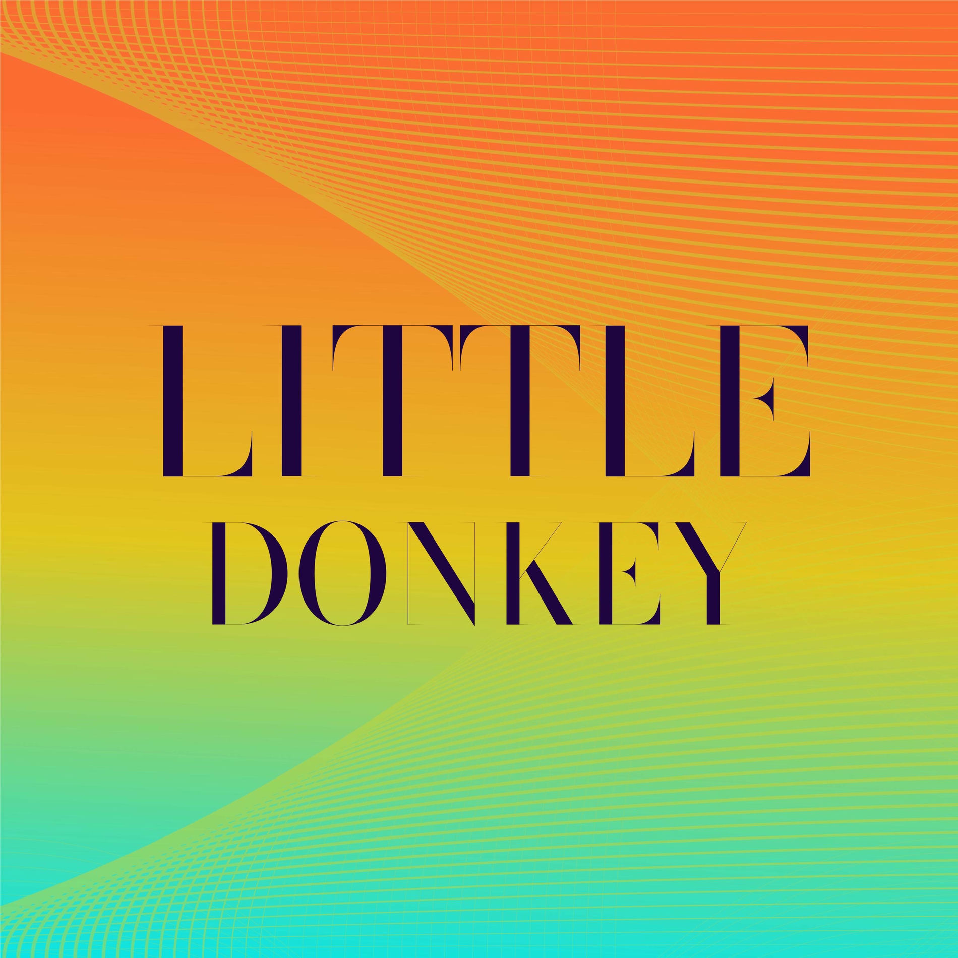 Album cover of Little Donkey