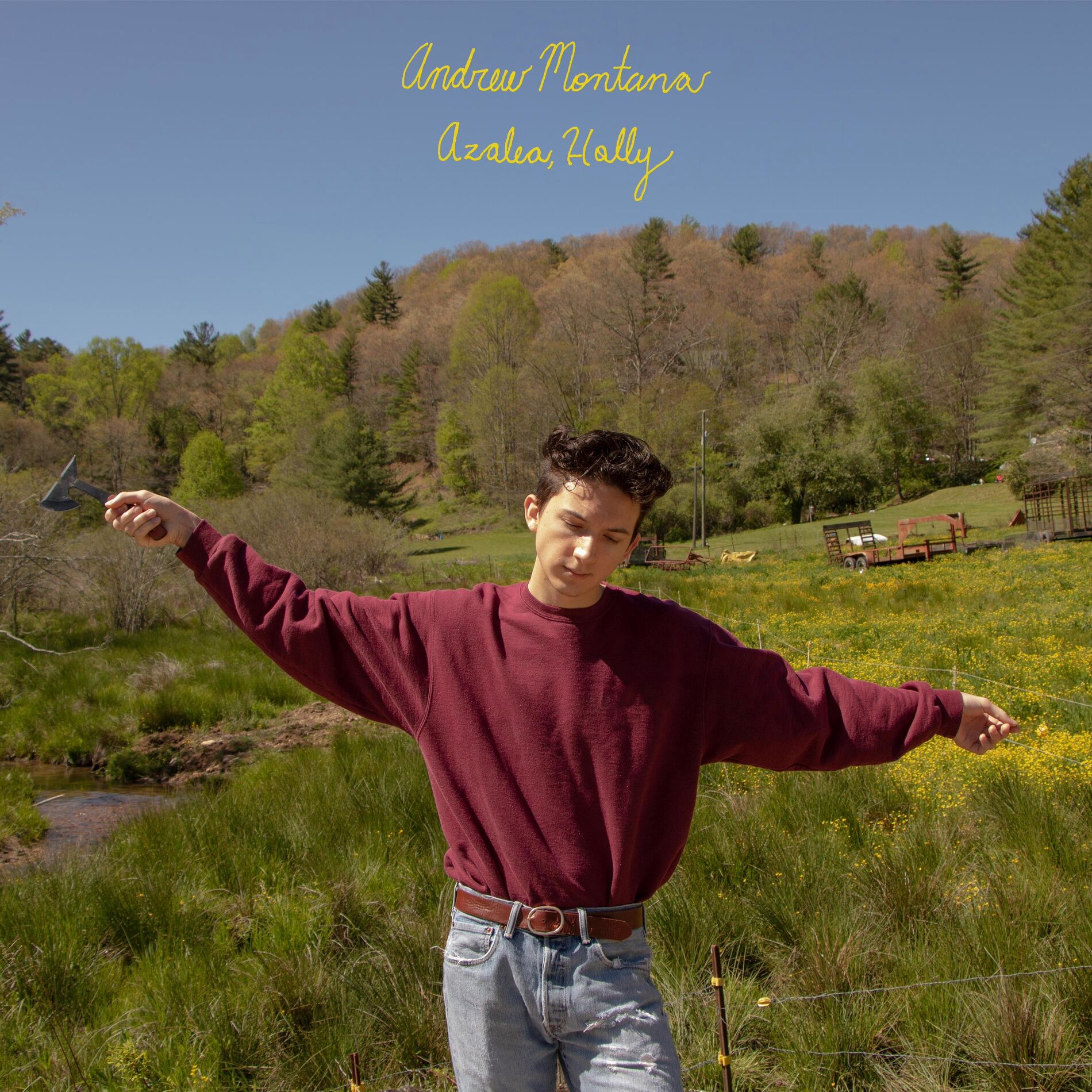 Album cover of Azalea, Holly