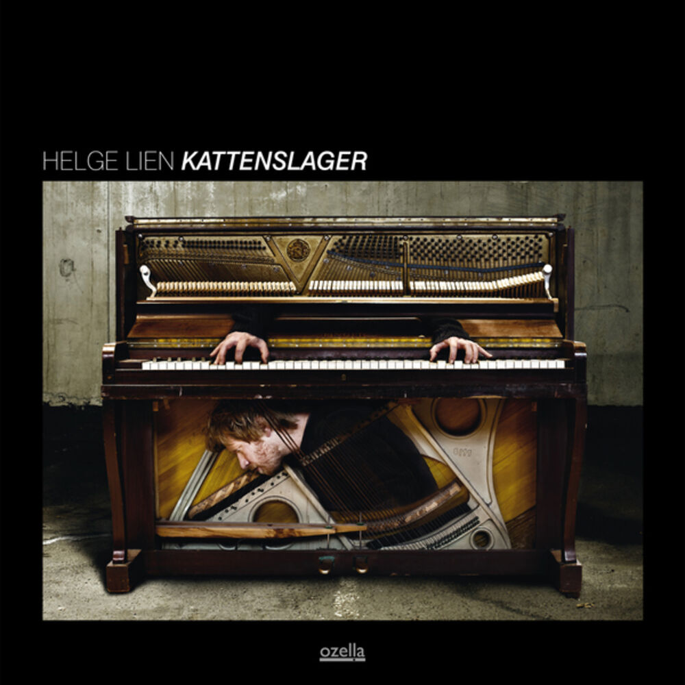 Picture of Kattenslager