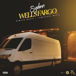 Cover of Wells Fargo