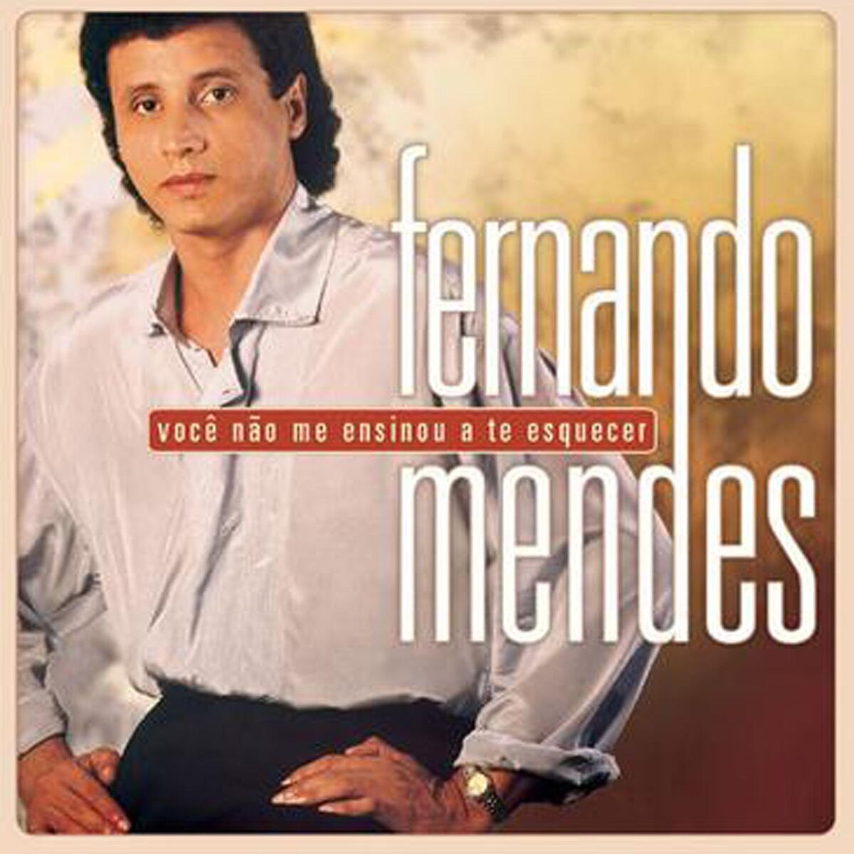 Album cover of Você Não Me Ensinou A Te Esquecer - Pérolas E Sucessos