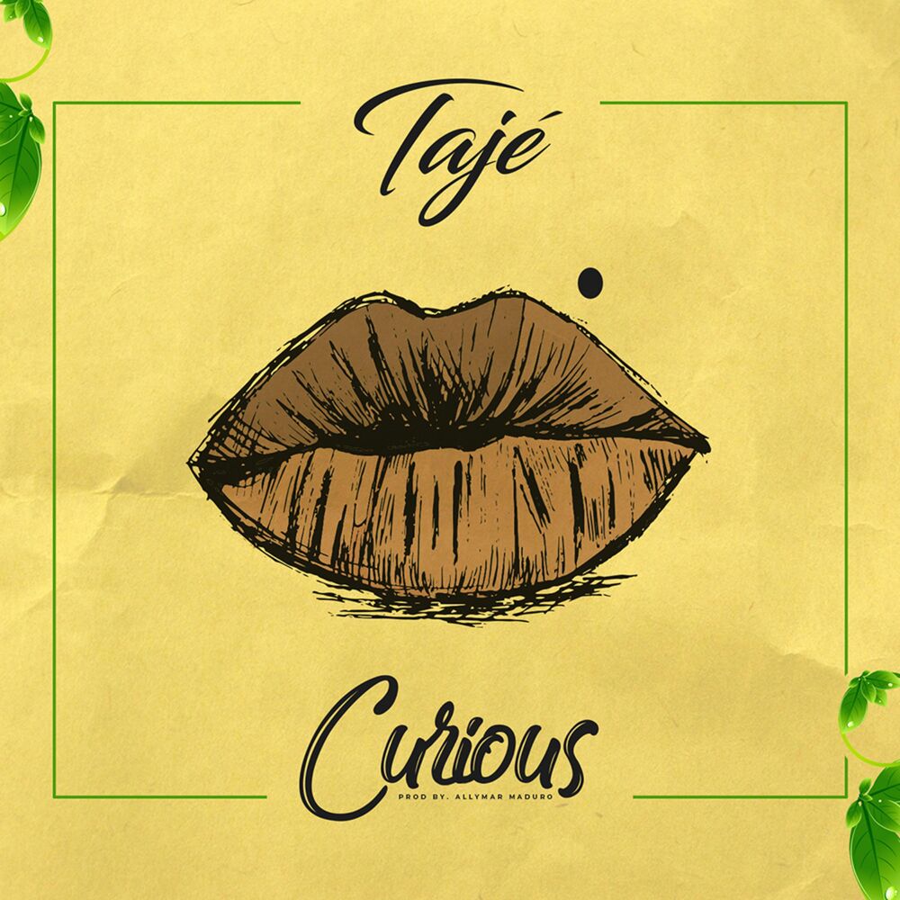 Picture of Curious