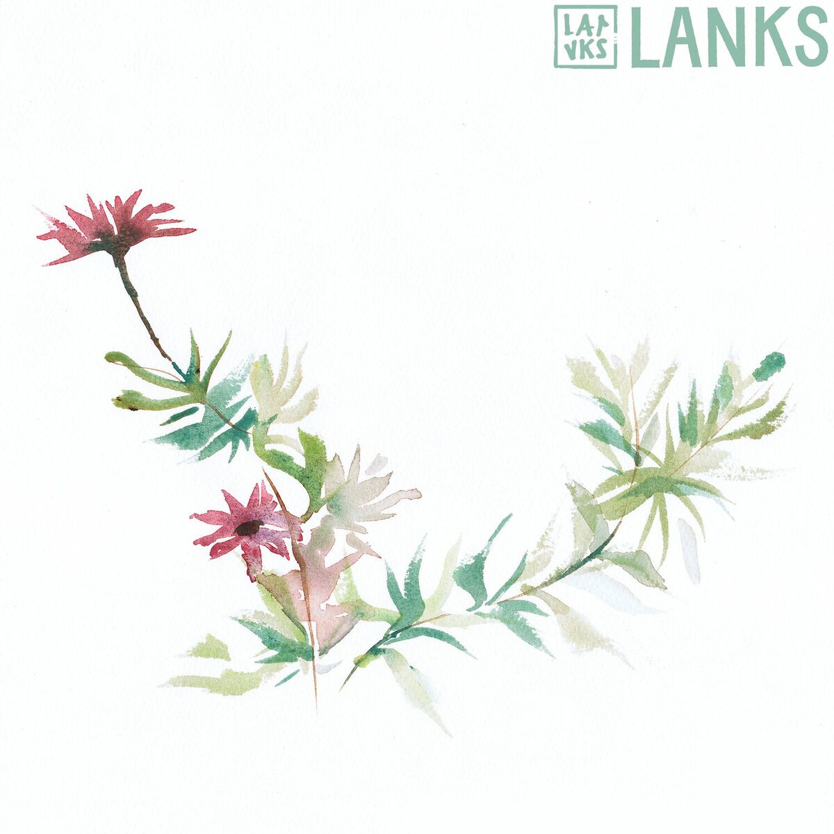 Album cover of Viet Rose