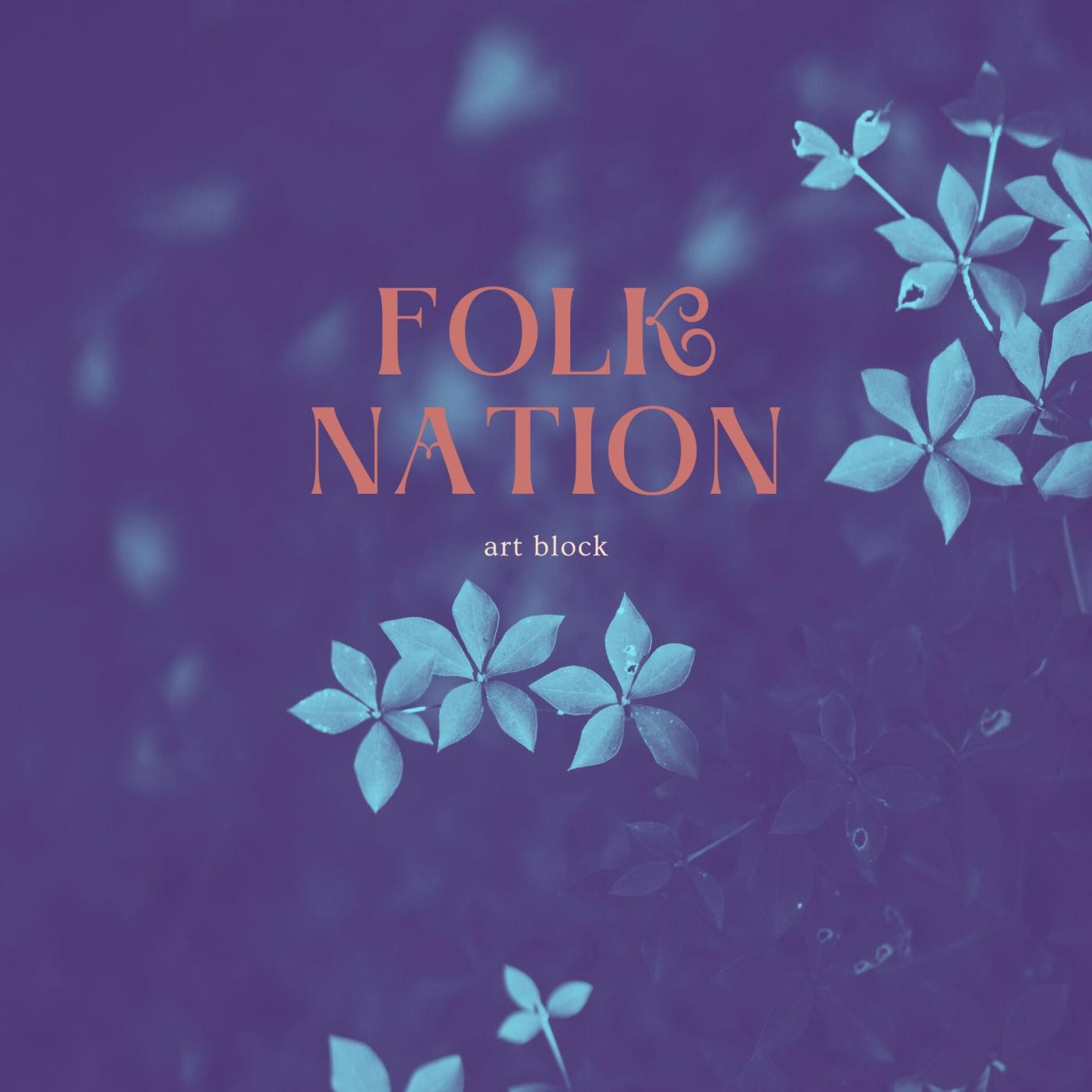Album cover of Folk Nation