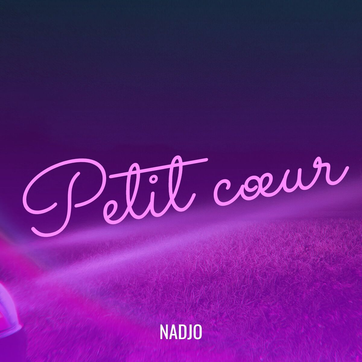 Album cover of Petit cœur