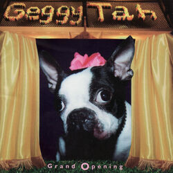 Cover of Grand Opening