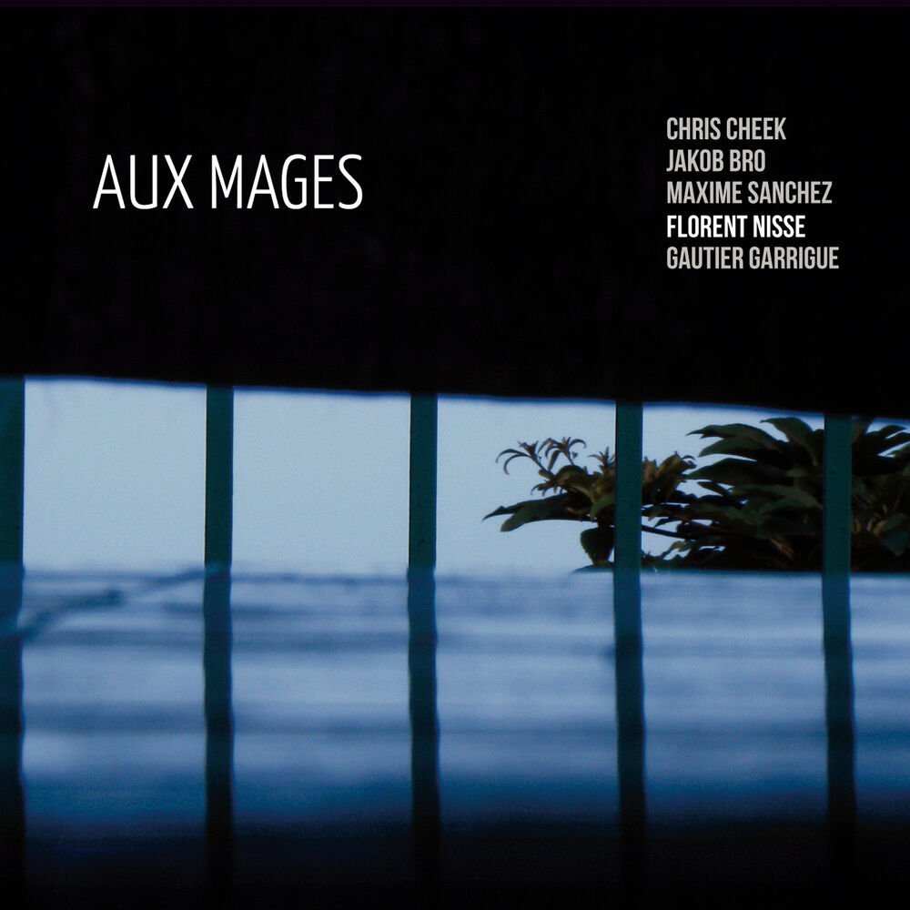 Picture of Aux mages