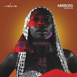 Cover of Mirrors & Windows