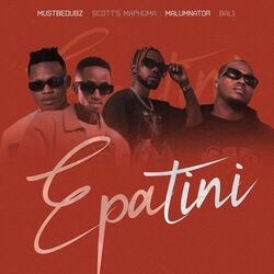 Cover of ePatini