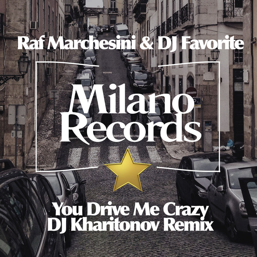 Picture of You Drive Me Crazy (DJ Kharitonov Remix)