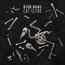 Cover of Bird Bone