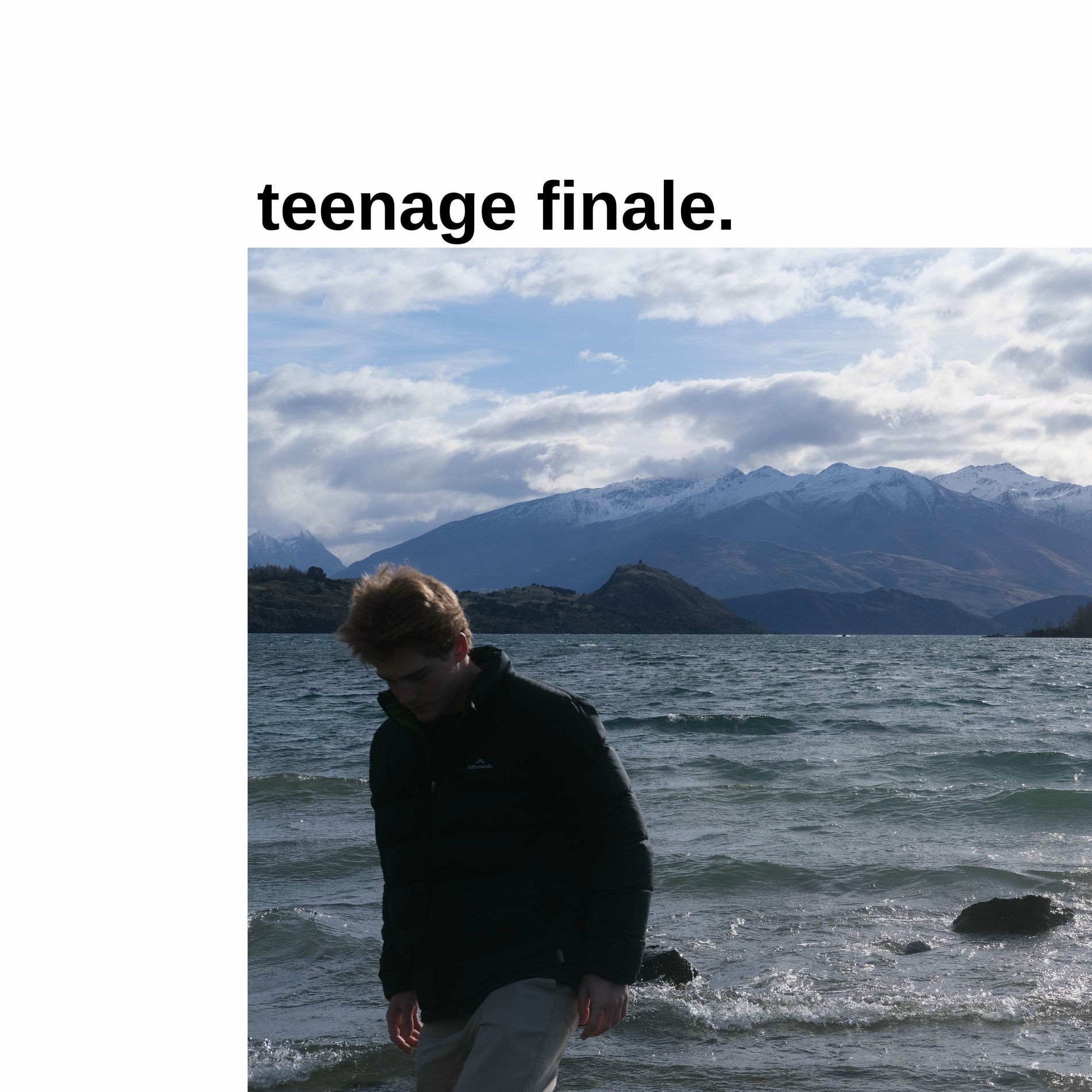 Album cover of teenage finale