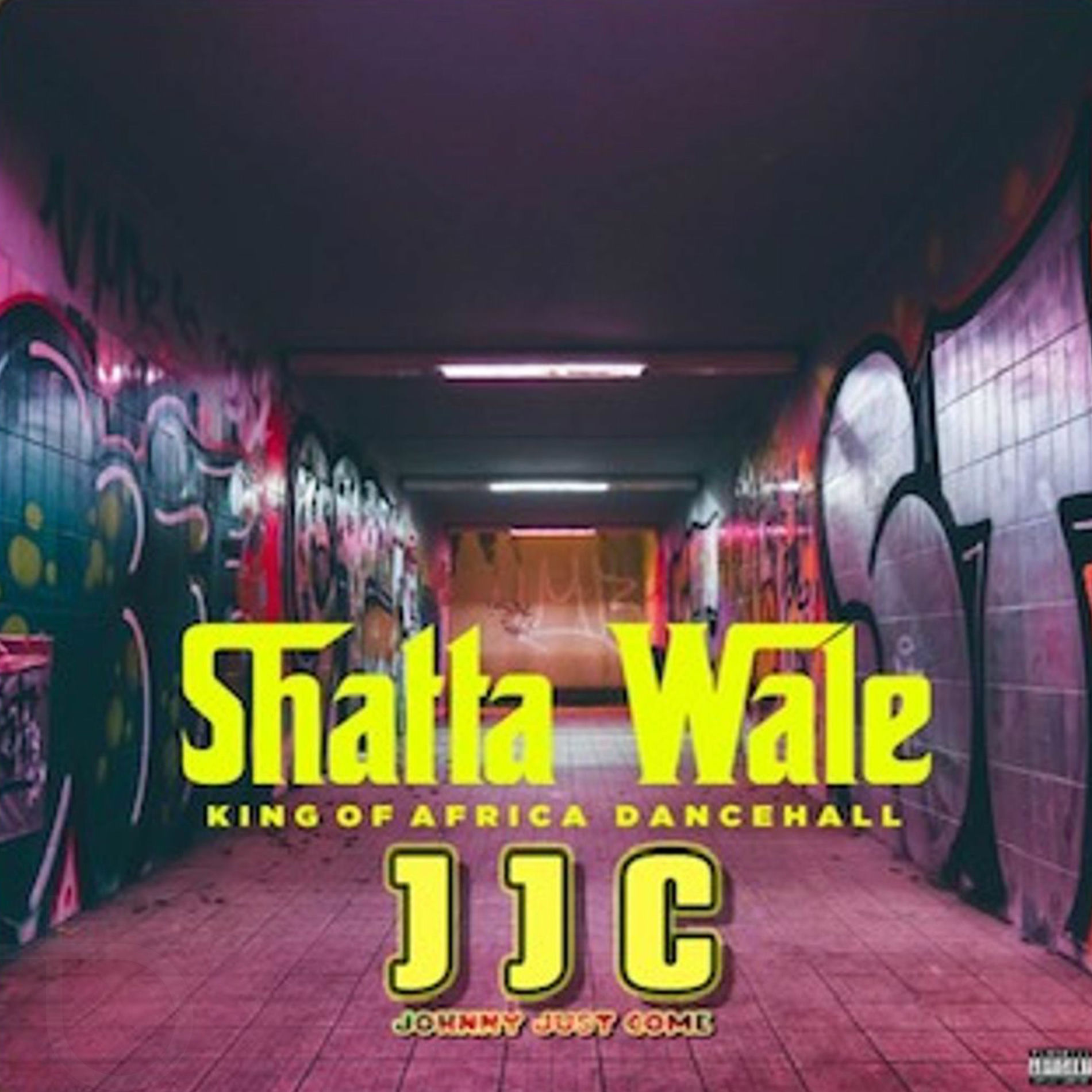 Album cover of JJC