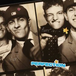 Cover of Perfection (Gimme, Gimme)